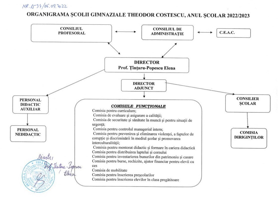 organigrama scolara